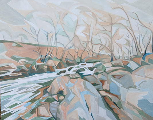 Near Cadover Bridge, Dartmoor